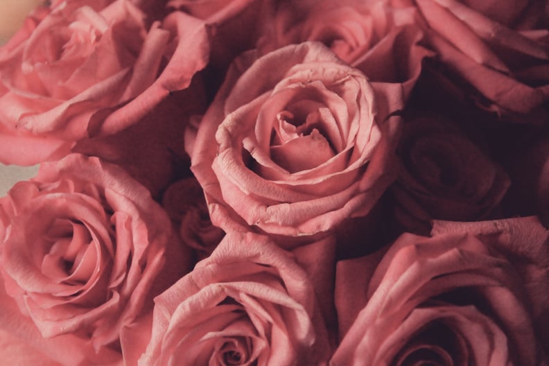 Valentine's Day Zoom Background: Pink Roses