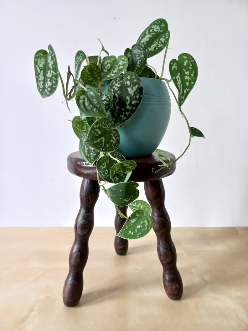 Vintage Plant Stool