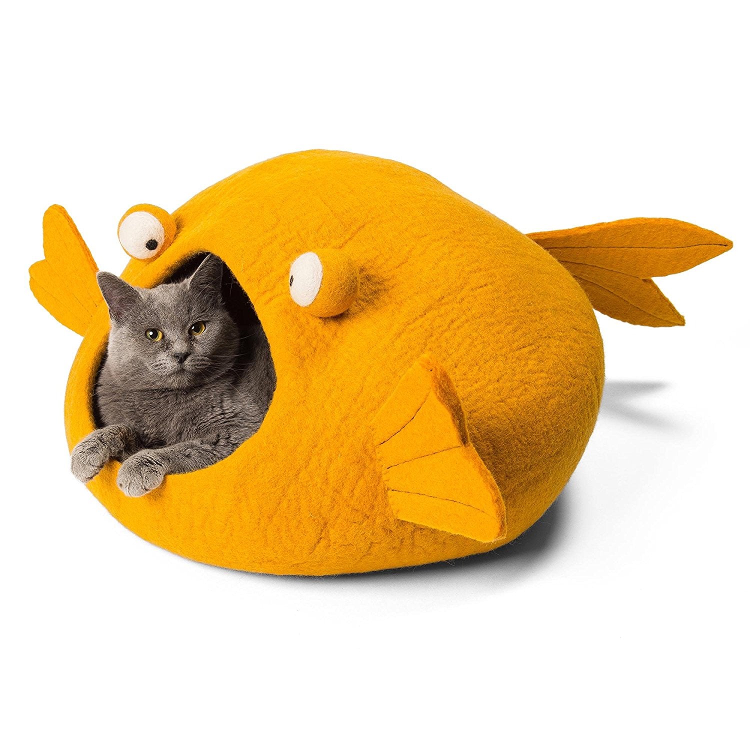 Angler fish discount cat bed