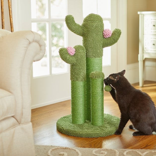 Frisco Cactus Cat Scratching Post