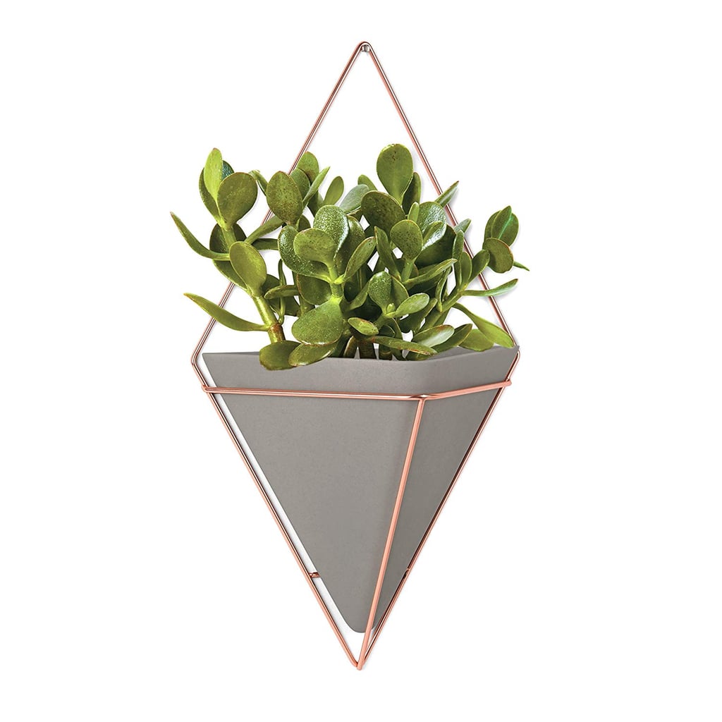 Umbra Trigg Hanging Planter