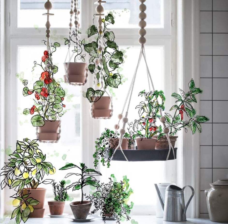 Hanging net for plant pot ($13), hanging tray ($30)