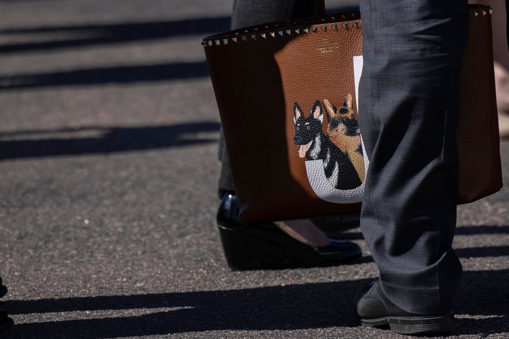 Jill Biden's Valentino Bag Has Dogs Champ and Major on It
