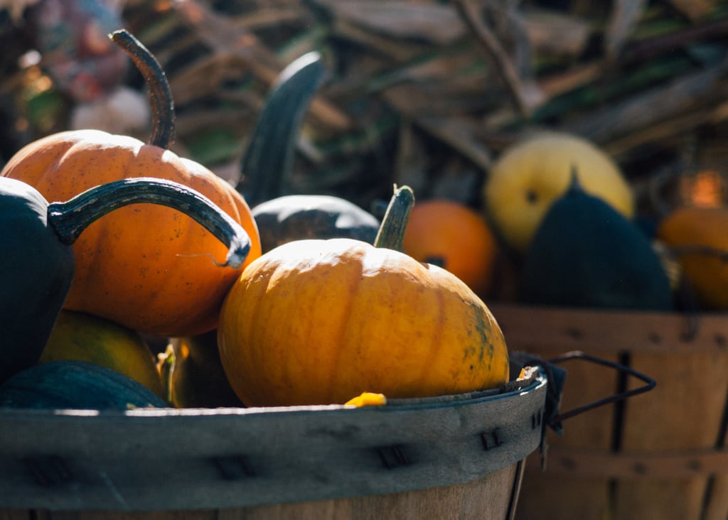 Decorate With Pumpkins