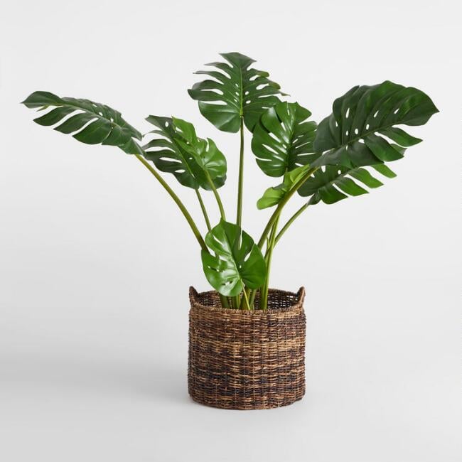 Faux Monstera Plant