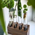 17 Unique Gifts For the Plant Lover in Your Life