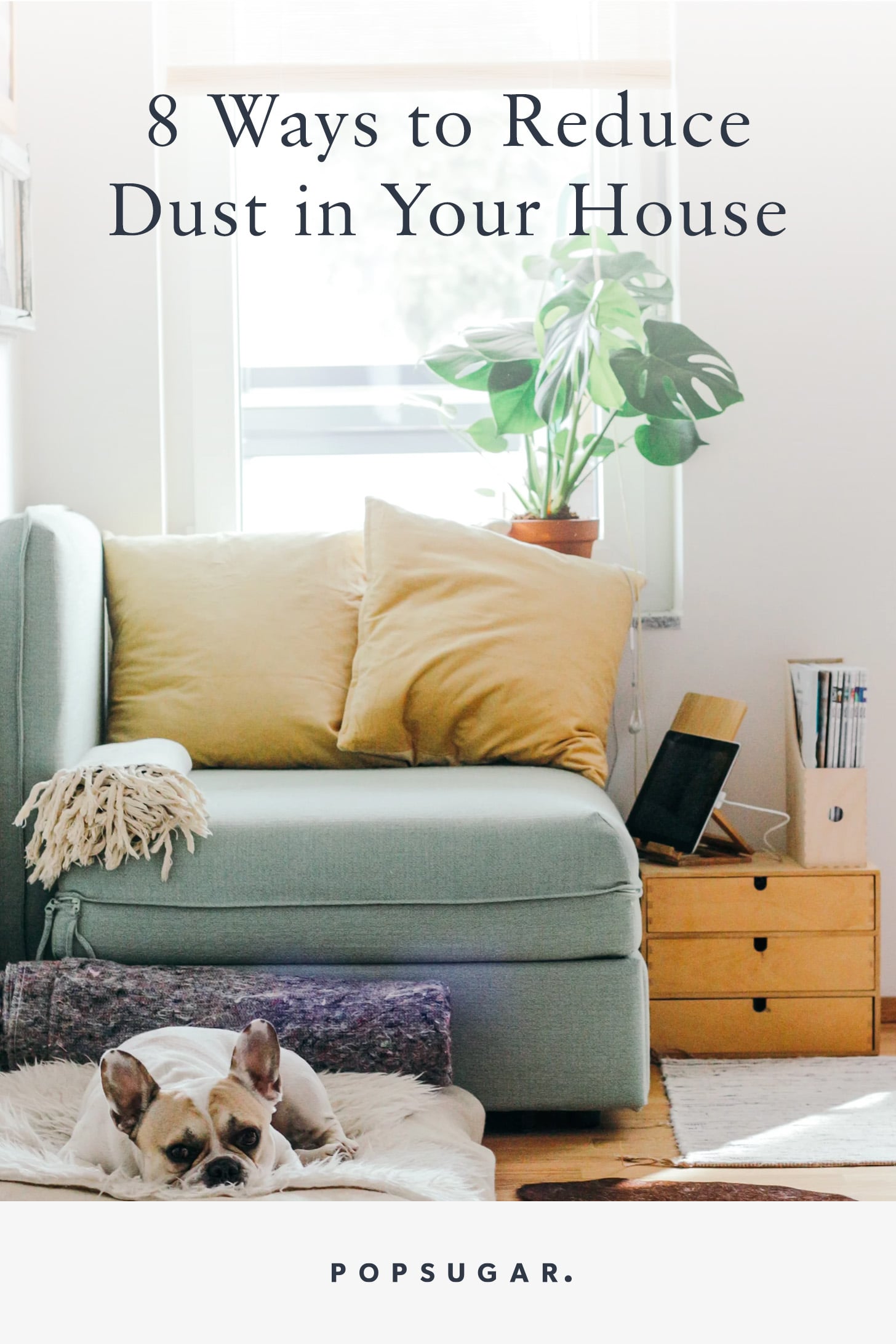 How to Reduce Dust in Your House POPSUGAR Home