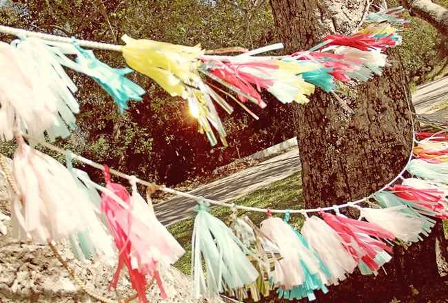 Fringed Tassel Banners