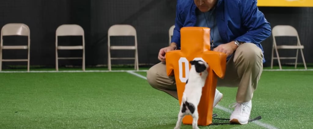 Puppy Bowl Tryout Video