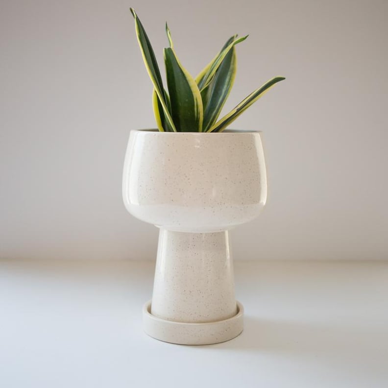 Kaya 3-Piece Ceramic Planter by Justina Blakeney