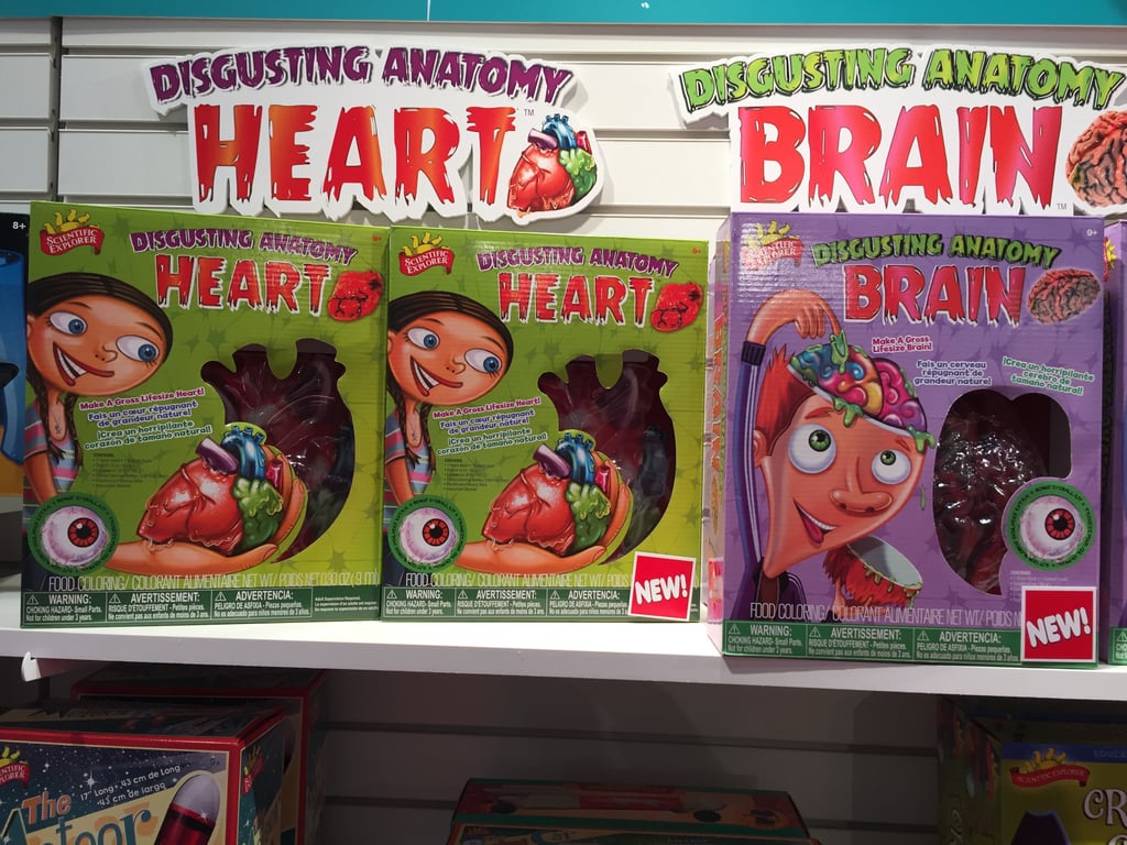 Disgusting Anatomy Heart and Brain