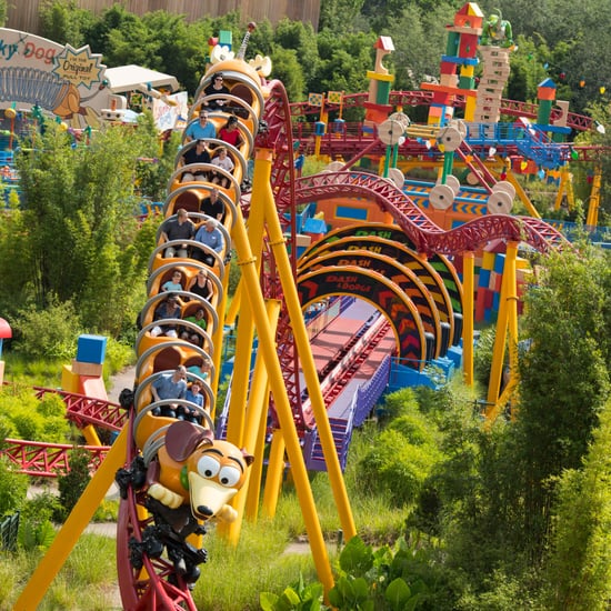 Disney World's Toy Story Land Pictures