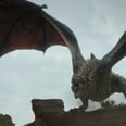 Get to Know the Dragons of "House of the Dragon"