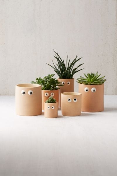 Henry Googly Eye Planters
