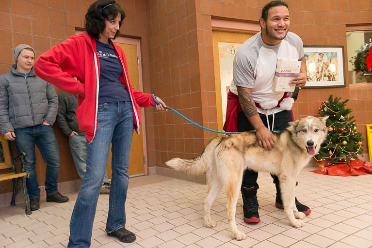 Cleveland Browns Player Donates to Animal Shelter