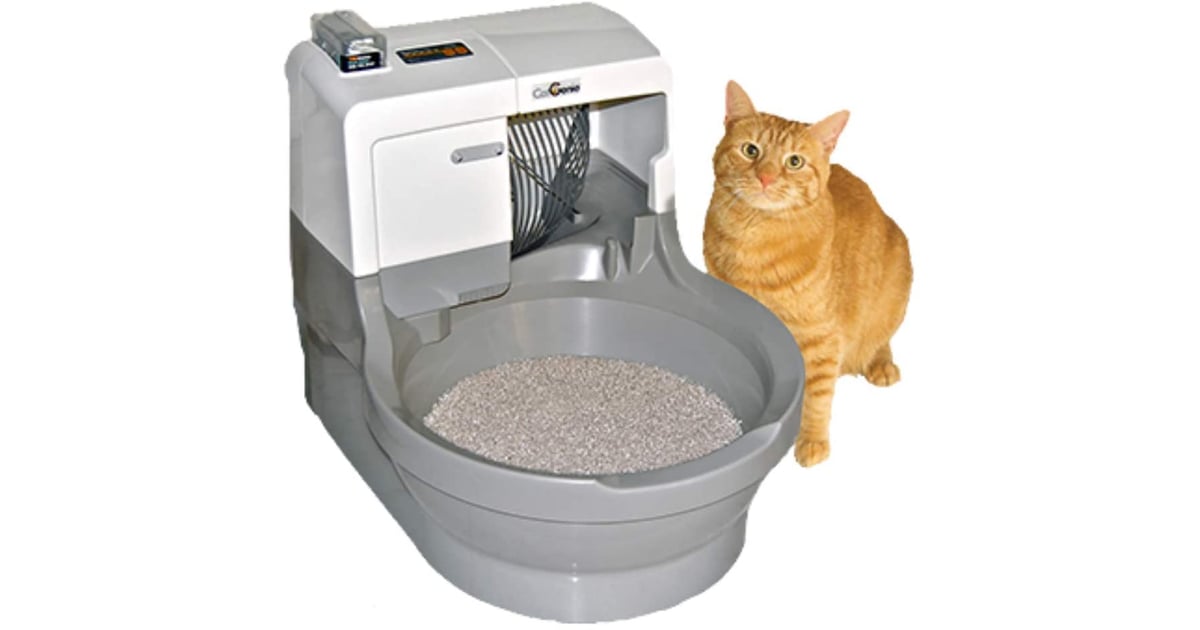CatGenie SelfWashing SelfFlushing Cat Box Best SelfCleaning Litter
