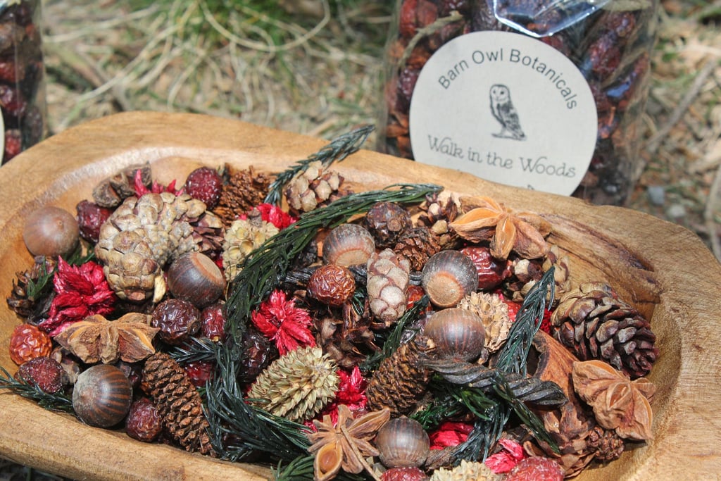 Walk in the Woods Potpourri