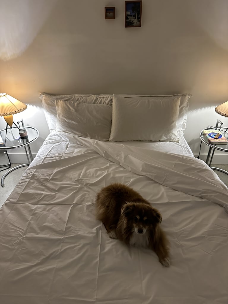 Quince Classic Organic Percale Sheet Set in White ($80-$120)
"I really want to be one of those people who can sleep in luxurious linen sheets — and I tried for years. Even though linen is supposed to be good for hot sleepers, it proved to be the opposite for me. I would always wake up drenched, with the sheets bunched up around me. So in recent years, I've turned to percale, which is usually what you'll find on the beds of luxury hotels. The markers of percale are cool and crisp, which are ideal for people like me who run hot but still want to be cozy. 
I've been using the Parachute percale set for a while now (which are pretty pricey) so I was excited to give the more affordable Quince version a try. When compared to the Parachute sheets, I've found that Quince is more on the crisp side — Parachute is slightly softer, while Quince is more sleek. This isn't a bad thing! I've been sleeping on the Quince percale sheets and under the percale duvet cover for a few weeks and can confirm that I stay cool as a cuke, even in the Los Angeles summer heat. Also, since I prefer white bedding, it makes it easy to tell if you've been sweating — no yellow marks or bunching in sight. 
My one gripe about this set is that the fitted sheet measurements seem to be slightly off for the full size. It seems like the full is more of a queen, so I really have to tuck the edges under my mattress. It hasn't led to bunching while I sleep yet, but we'll see if the fitted sheet stretches at all after more wear." — Aviel Kanter, former branded content director
Rating: