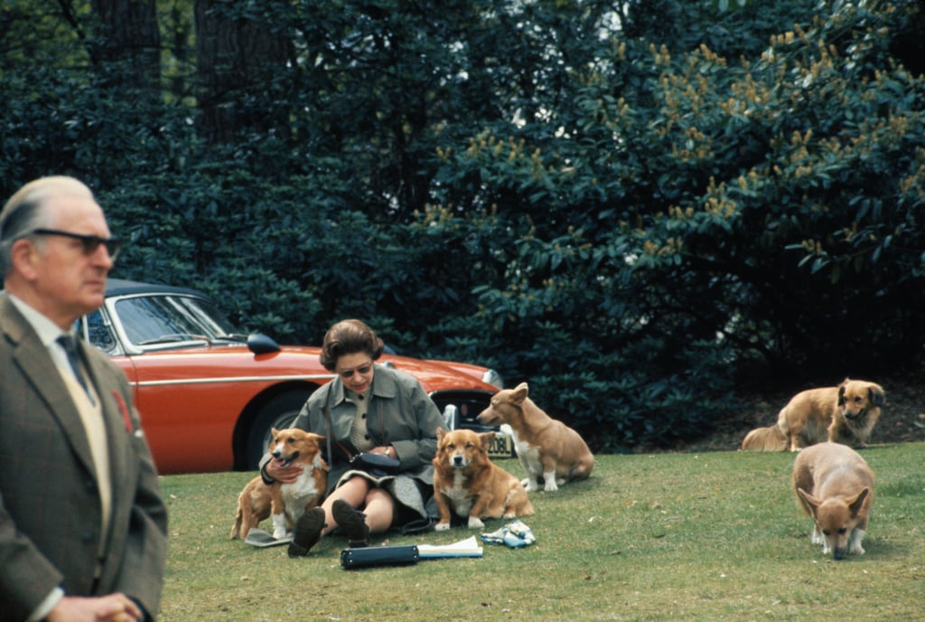 Why Did Queen Elizabeth Have So Many Corgis?