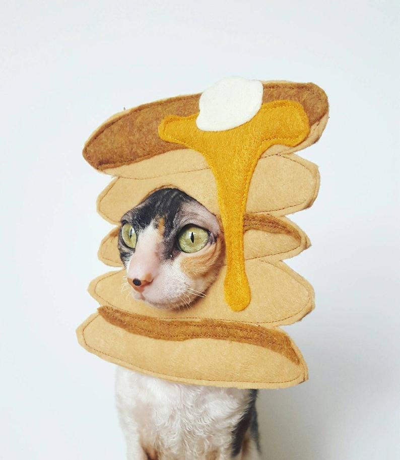 Pancake Pet Costume