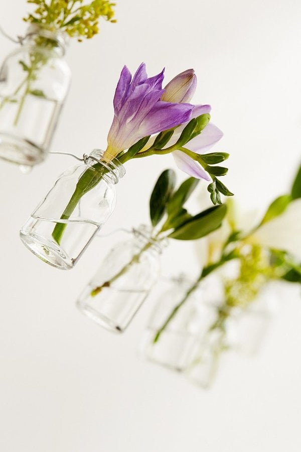 Hanging Bottle Garden ($24)