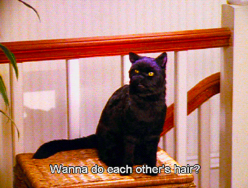 When You Develop a New Friend Crush  39 Salem Saberhagen 