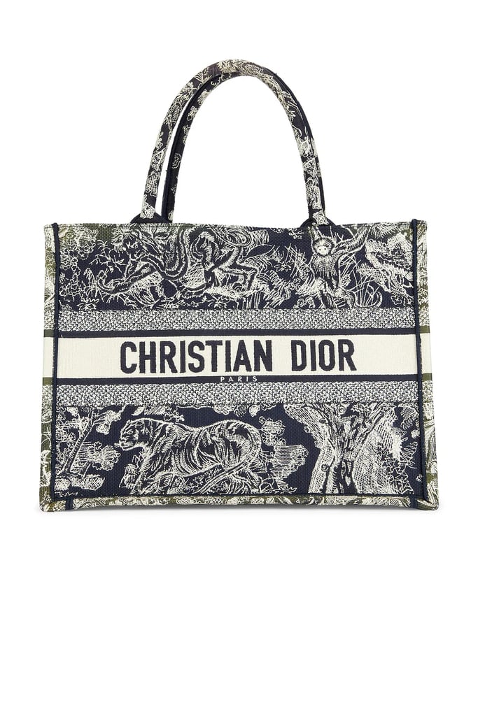 Dior Toile De Jouy Book Tote Bag