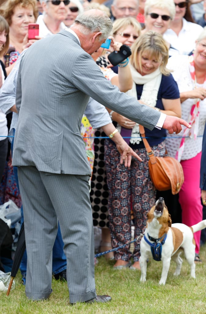 Prince Charles Camilla Freak Out at Eagle