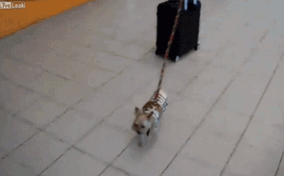 You basically live at the airport.