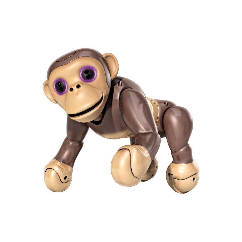 For 5-Year-Olds: Zoomer Chimp