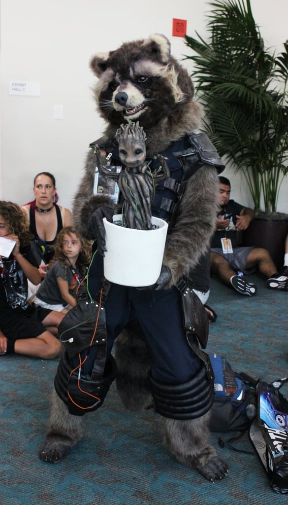 Rocket Raccoon and Baby Groot