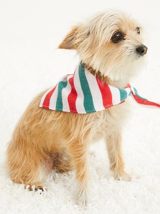 Old Navy Dog Clothes and Sweaters POPSUGAR Pets