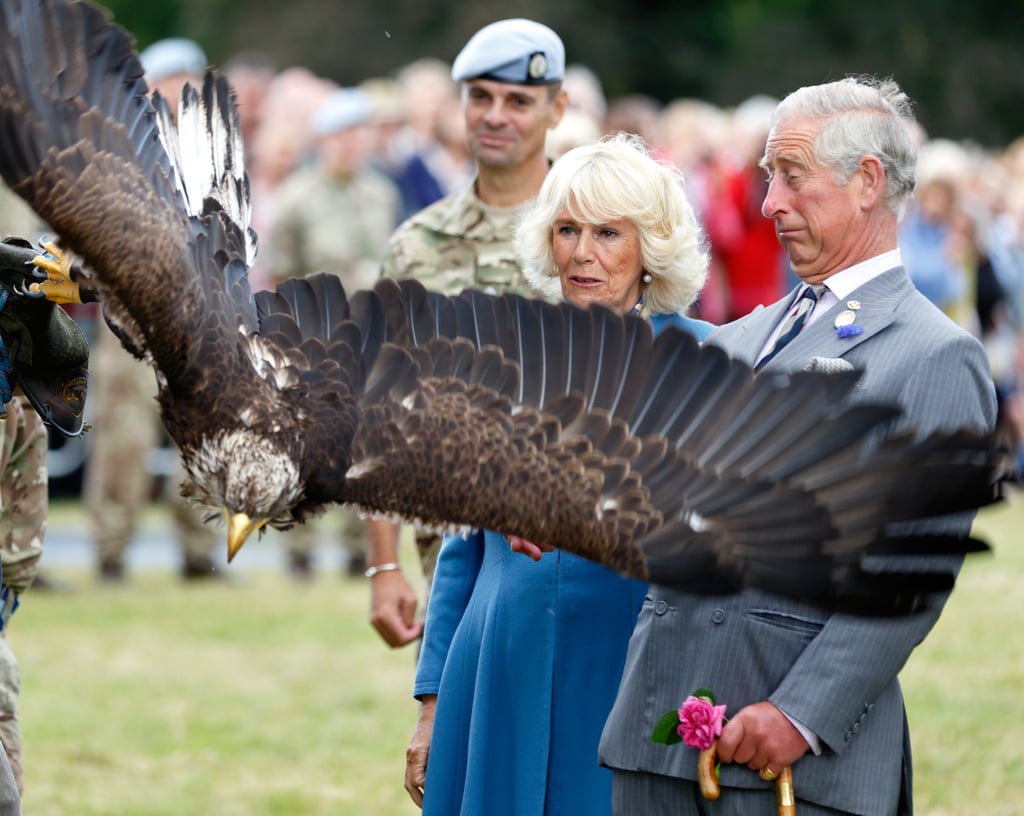 Prince Charles Camilla Freak Out at Eagle