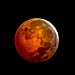 What Is a Lunar Eclipse? An Astrologer Explains