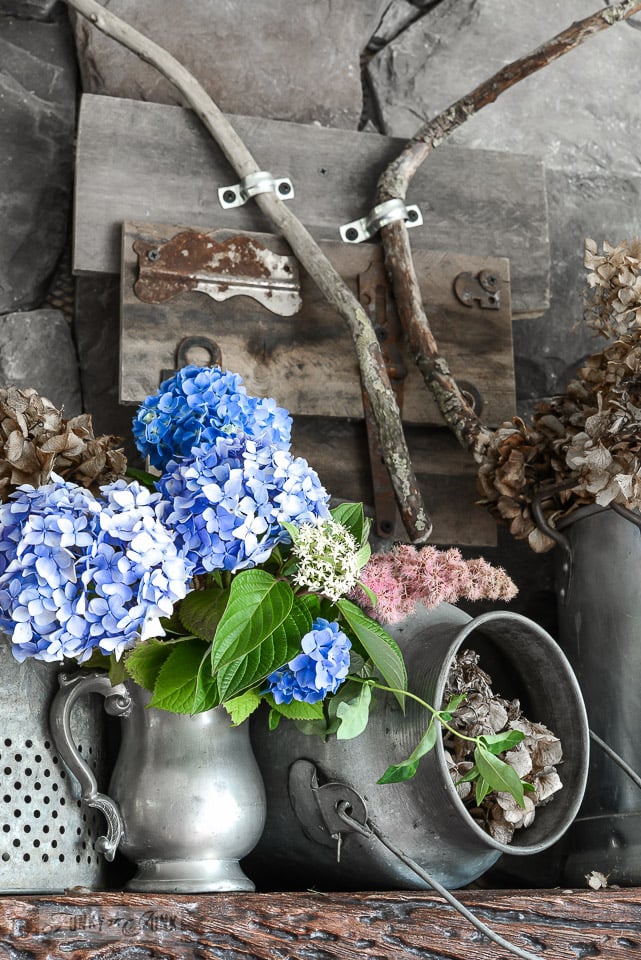 Hydrangeas Are Native to Japan