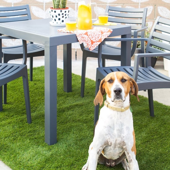 Looking to add some greenery to a modern outdoor room? Exterior