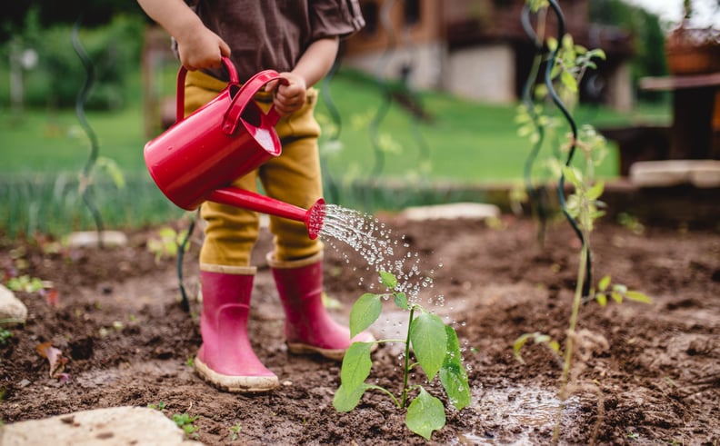 We Plant Our Own Food.