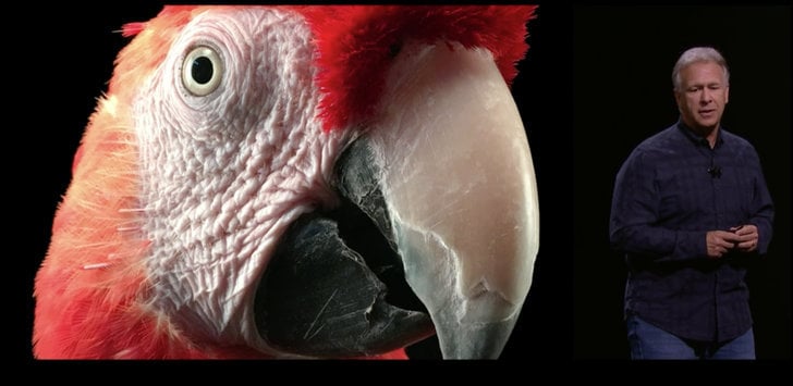 The iPhone 6S and 6S Plus camera has an incredibly cool feature.