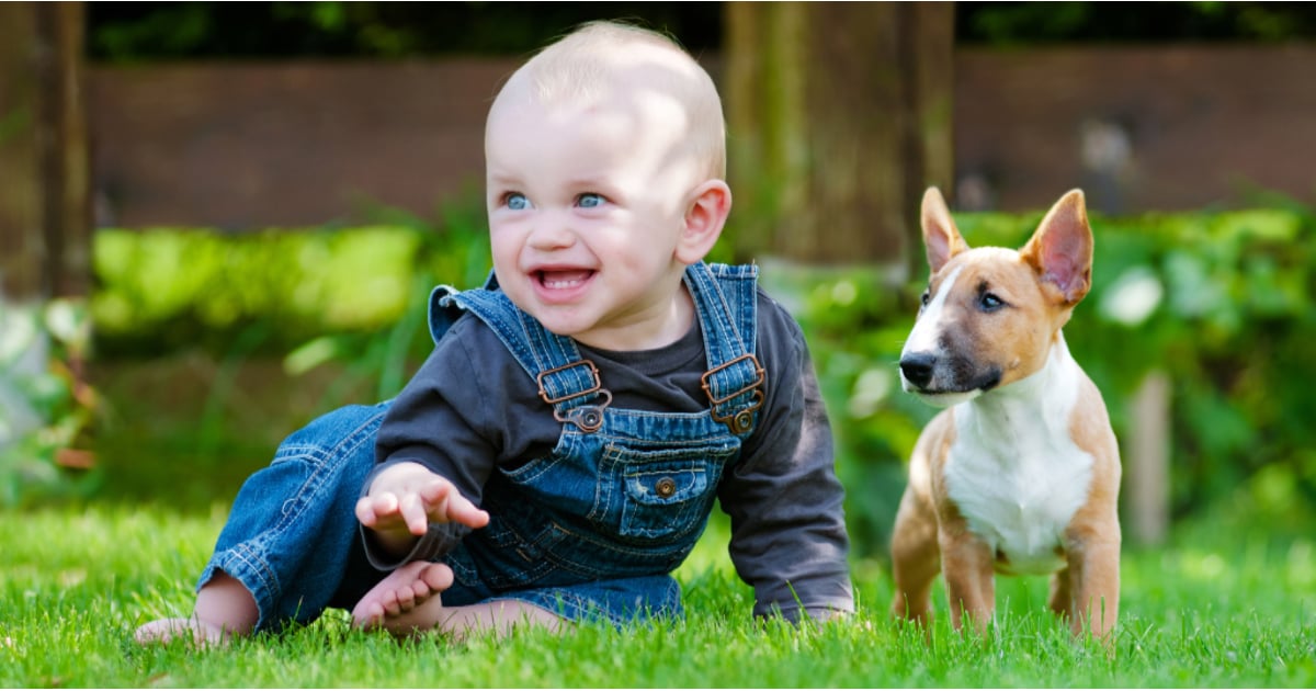 How Having a Pet and Having a Child Differ POPSUGAR Family