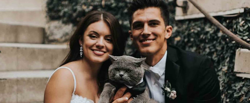 Photos of a Cat Who Was the Best Man in a Wedding