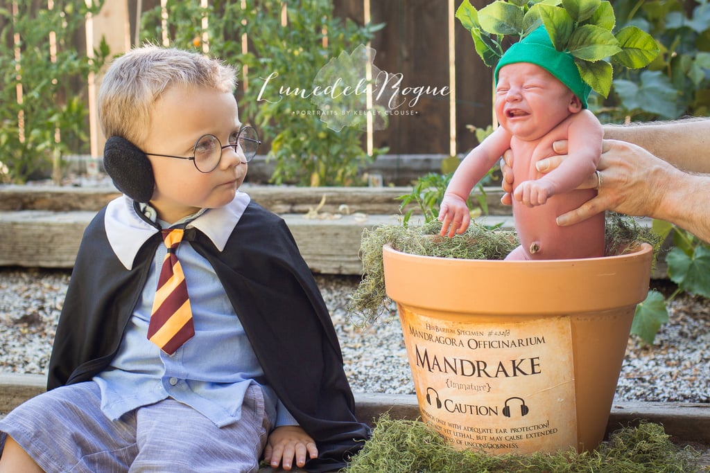 Harry Potter Newborn Photo Shoot Idea