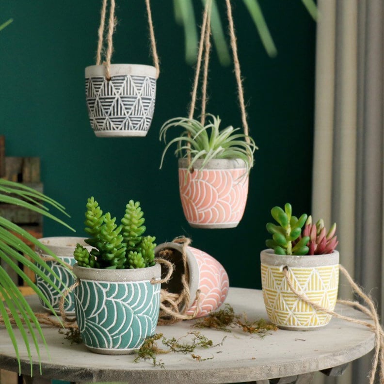 Cement Succulent Hanging Planters