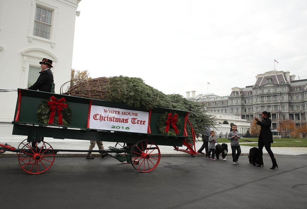 Michelle Obama Welcomes White House Christmas Tree 2016