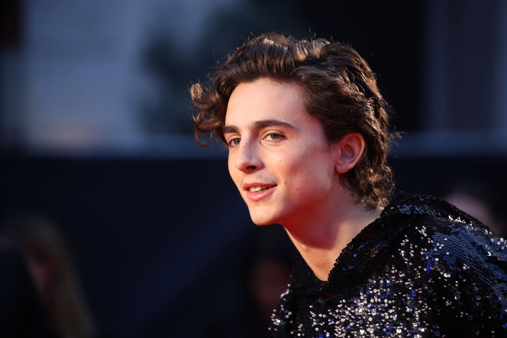 timothée chalamet funko pop
