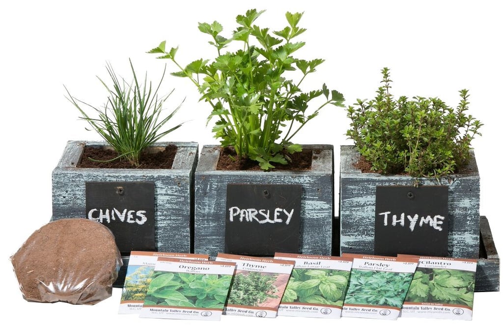 For the Gardener: Cali Kiwi Pros Indoor Herb Growing Kit