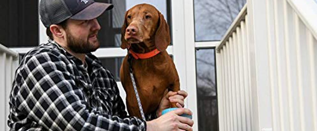 Dexas Mudbuster Portable Dog Paw Cleaner