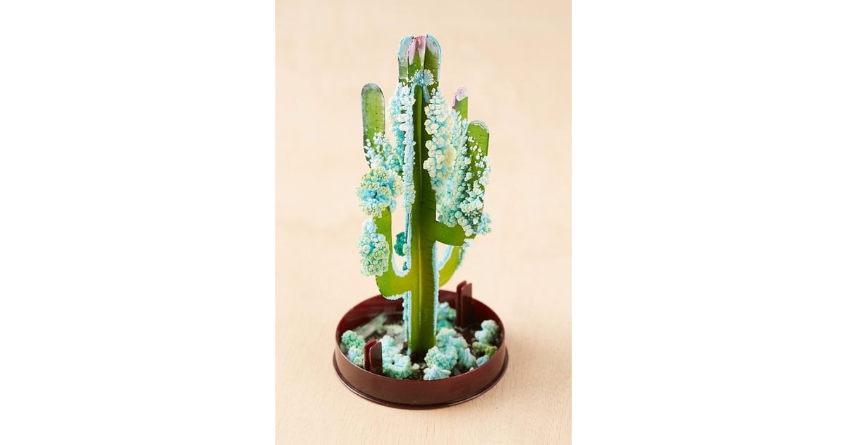 DIY Crystal Saguaro Cactus Grow Kit | Cactus Gifts ...