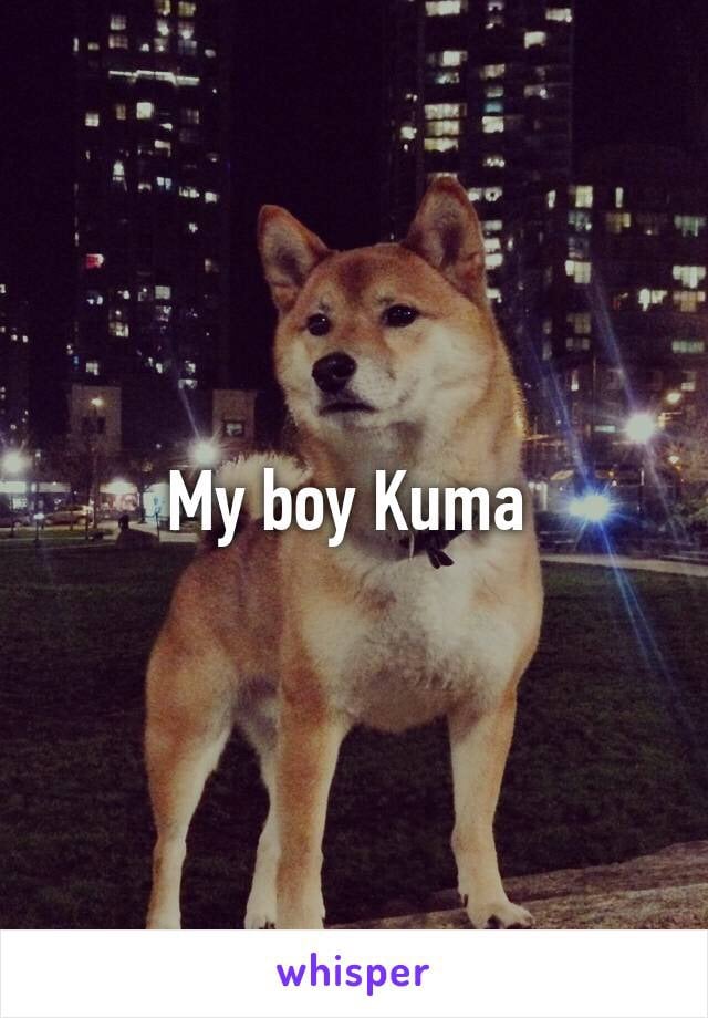 Dog-Lovers on Whisper