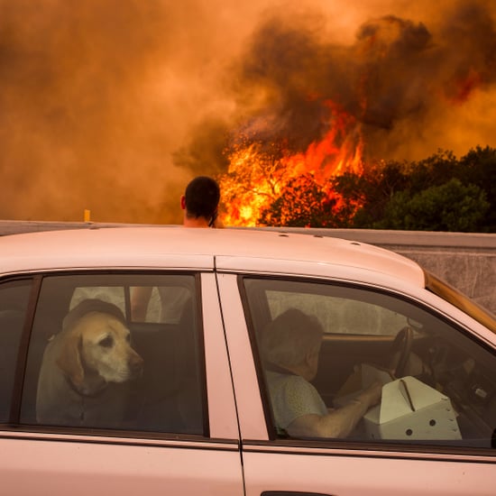 Hurricane Harvey, Hurricane Irma, and La Tuna Fire Photos