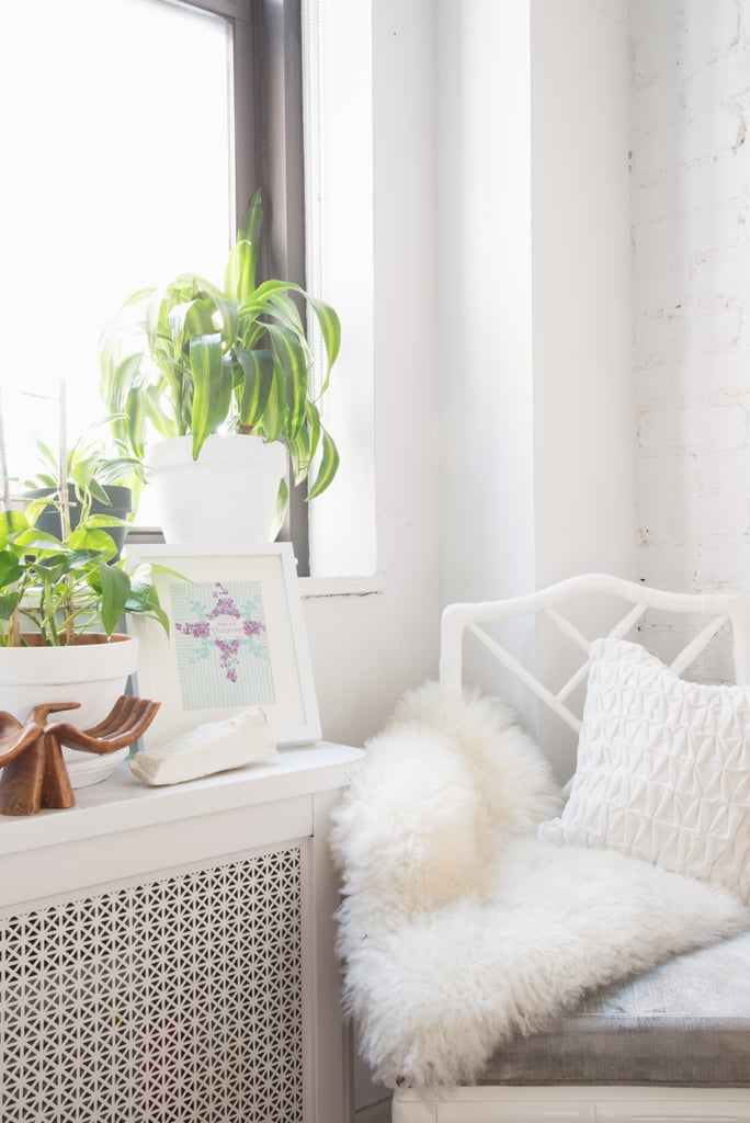 White was used when possible in Julia's studio.
